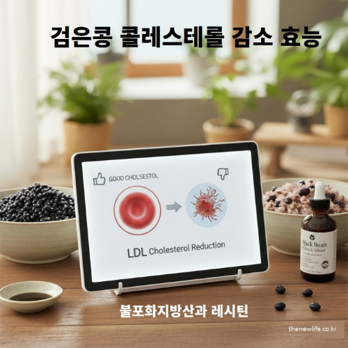 검은콩 콜레스테롤 감소 효능 &ndash; 불포화지방산과 레시틴이 나쁜 콜레스테롤(LDL)을 줄여 혈관 건강을 개선하는 모습