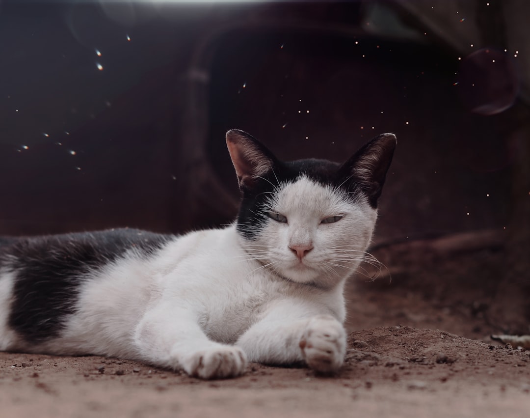 Sleep.