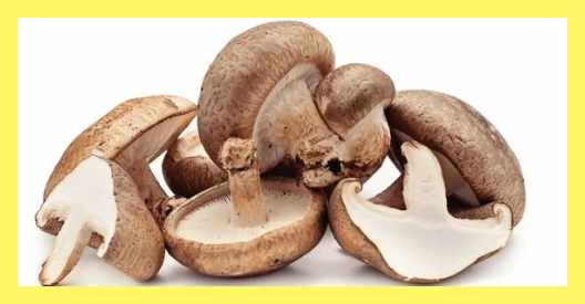 표고버섯-보관방법