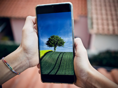 스마트팜의 진화, 도심 건물 위에서 자라는 미래 식량