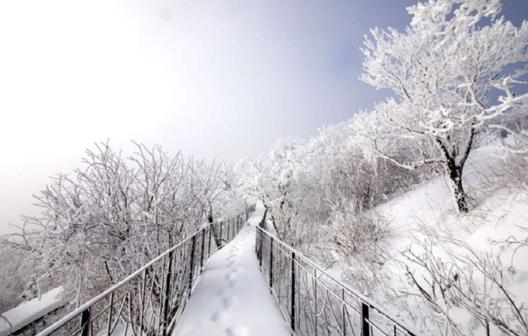 발왕산 케이블카
