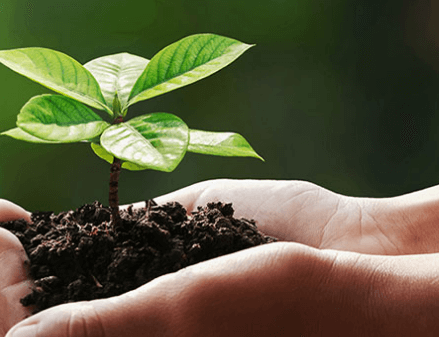 메디콕스 주가 전망 실적 목표주가 마리화나(대마) 관련주