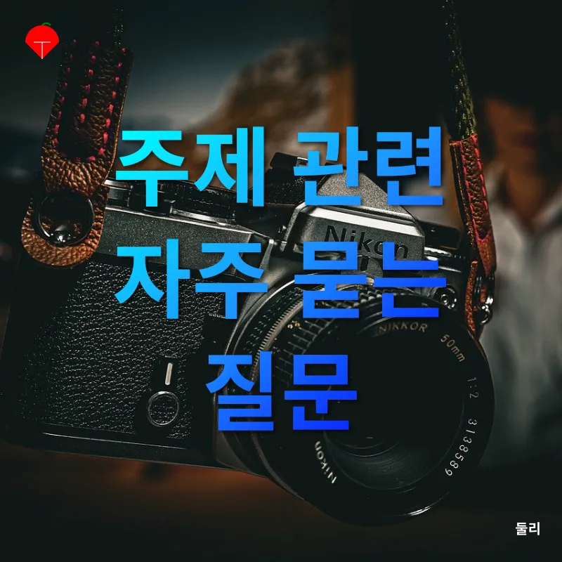 계절별 사진 촬영_5