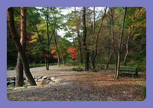 망경대산자연휴양림