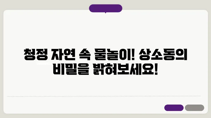 상소동 산림욕장 물놀이