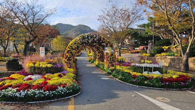 월출산 관련 사진첨부