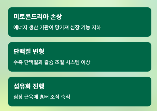 당뇨병이 심장을 망가뜨리는 놀라운 이유