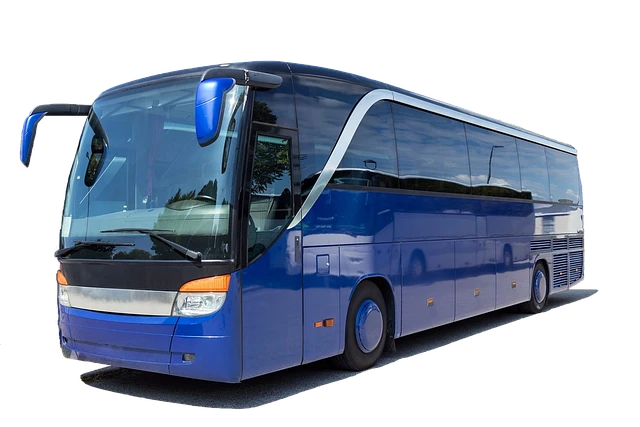 서울남부터미널 버스