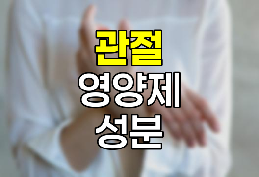 관절 영양제 핵심 성분과 선택 기준