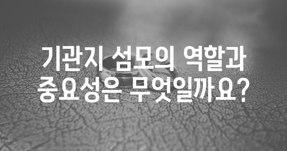 샘플 (68)