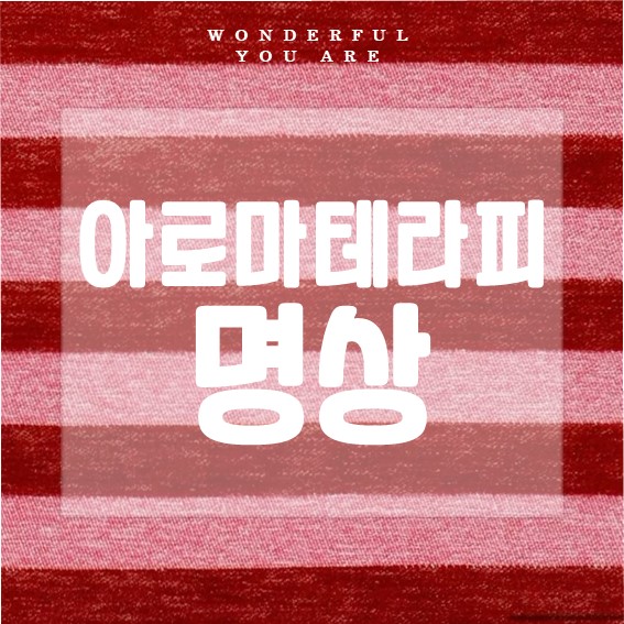 아로마테라피 명상 완벽 정리: 마음을 치유하는 향기