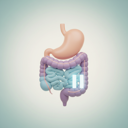 마운자로 복용 후 구토와 설사가 심한 이유가 궁금해요