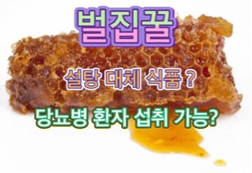 벌집_꿀_당뇨_설탕_대체_식품
