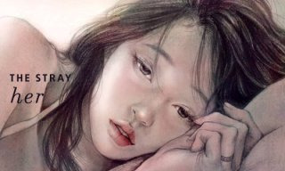 스트레이 공식 입장문