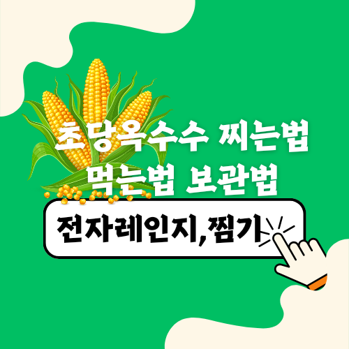 초당옥수수 전자레인지 찌는법 보관법 냉동 초당옥수수 먹는법