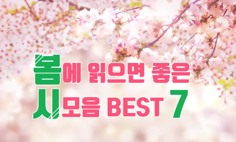 봄 시 모음 이해인 나태주 명시 모음_3