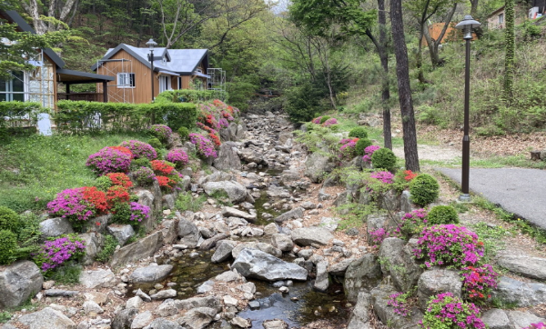 용인자연휴양림