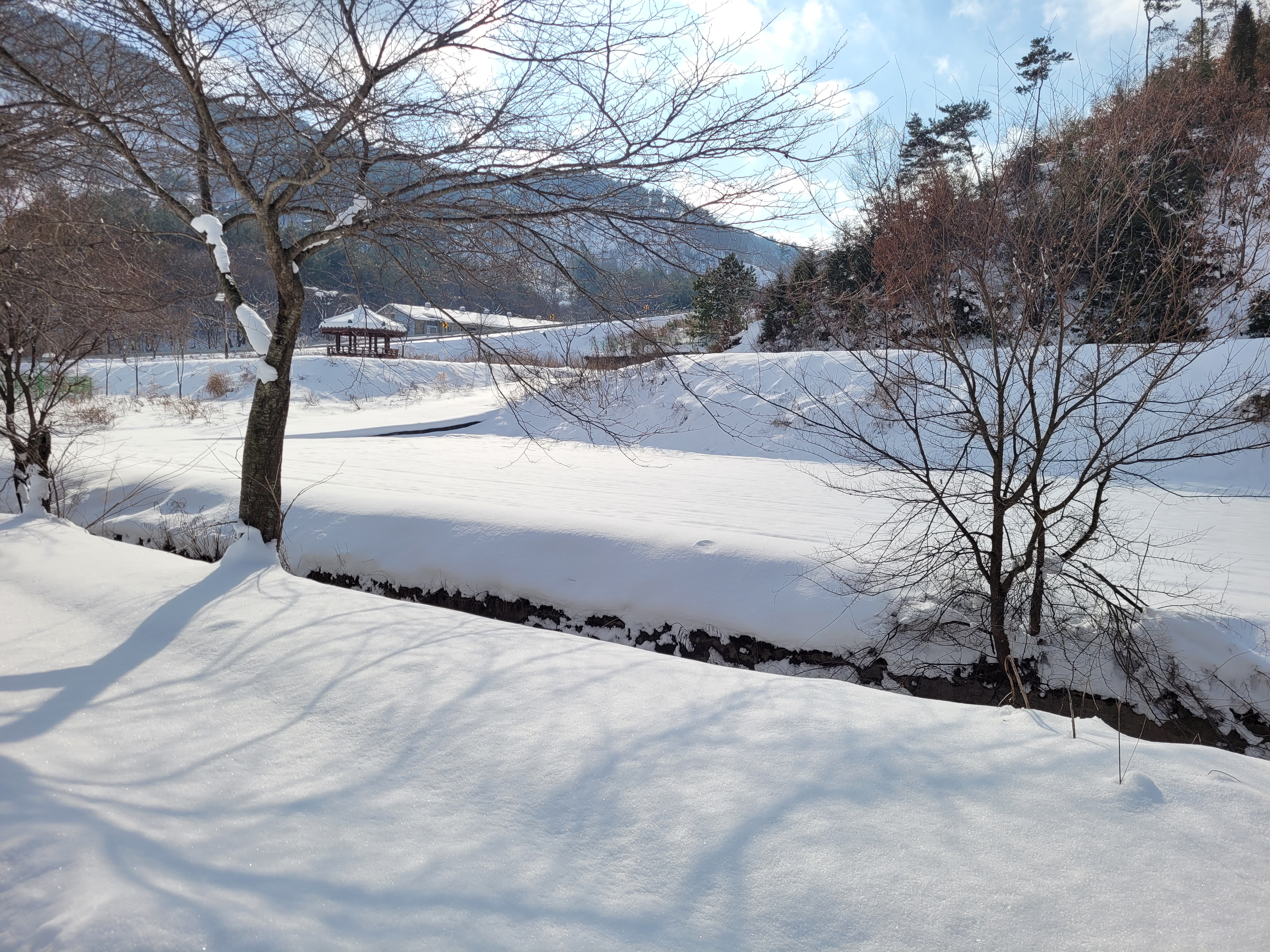 눈 덮인 시골
