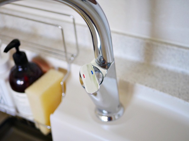 싱크대 곰팡이 제거방법, 수전 수도꼭지 곰팡이 청소팁