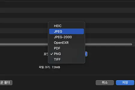 내보내기 대화상자에서 파일 포맷을 선택하는 모습