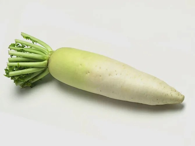 무우 효능 부작용 섭취 방법_5