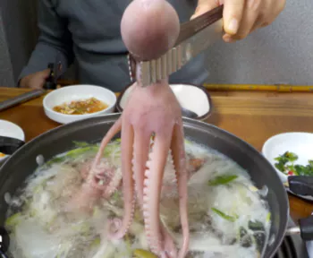 낙지탕2