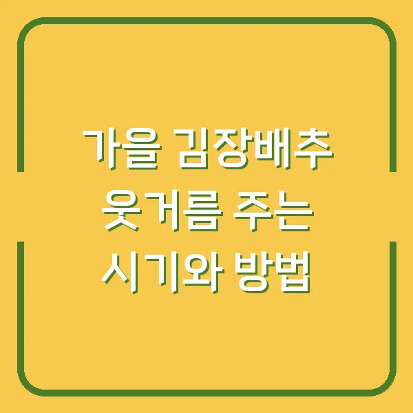 가을 김장배추 웃거름 주는 시기와 방법