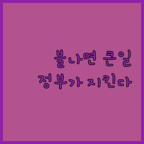 불나믄 큰일! 전통시장 화재, 정부가..