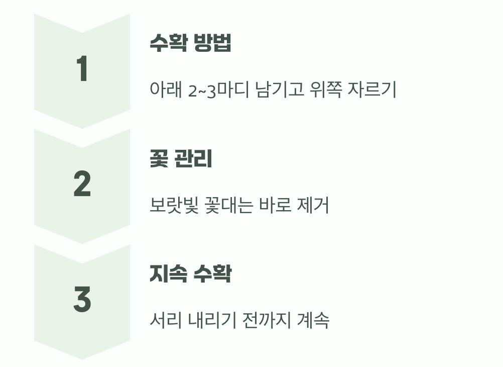 여름부터 가을까지, '수확'의 기쁨