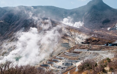 임업직불금 신청