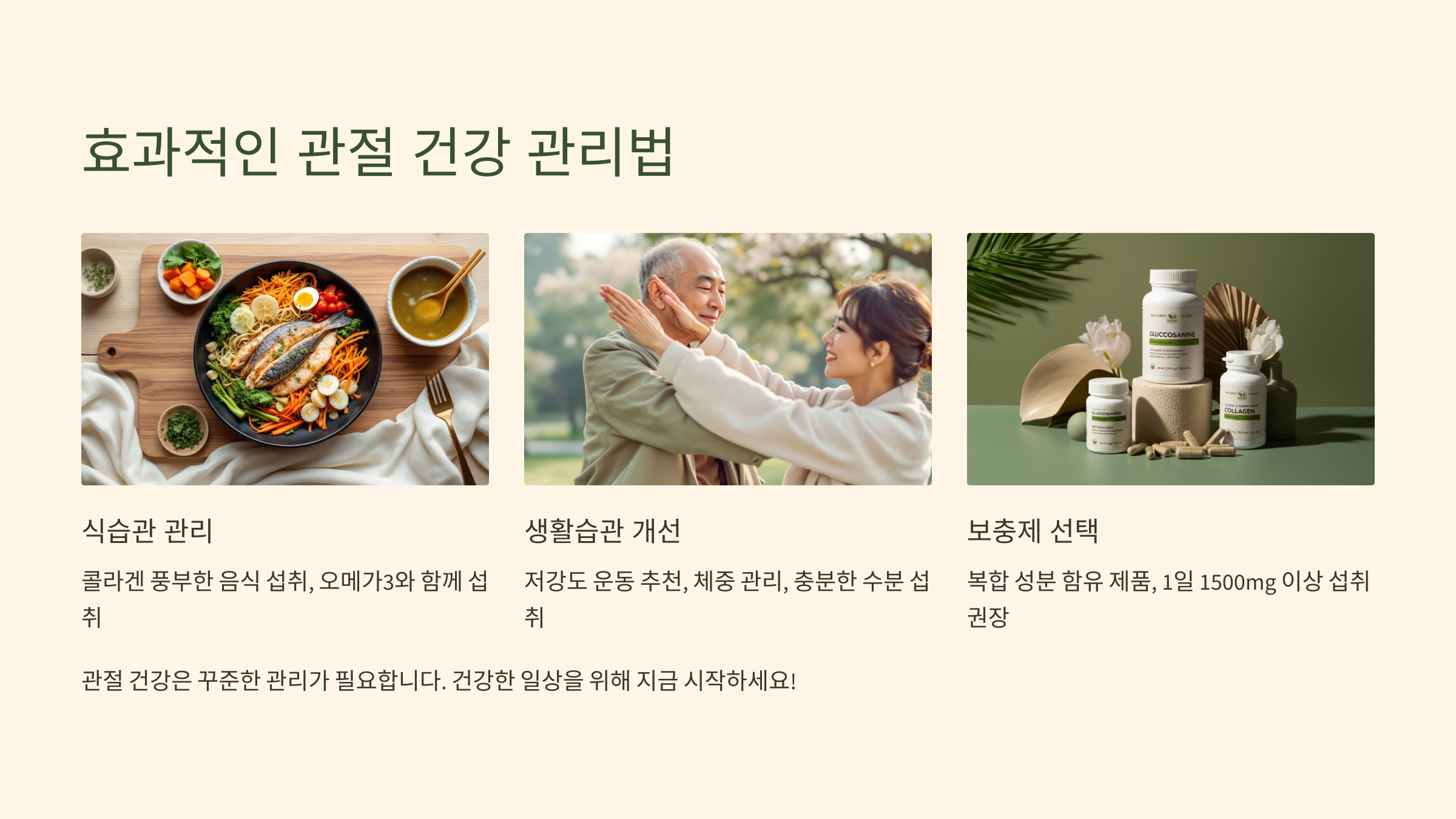관절 건강 필수템! 글루코사민, 콘드로이친, MSM 효능