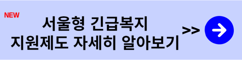 서울형 긴급복지지원제도