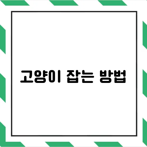 고양이 잡는 방법