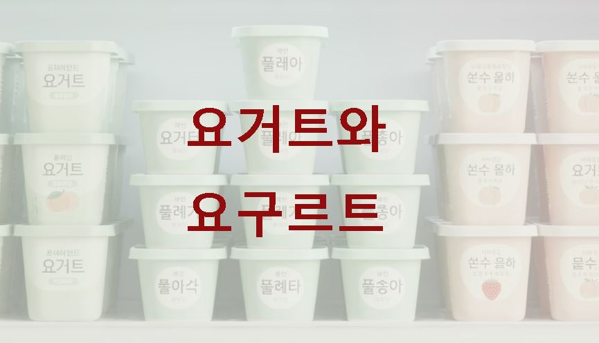 요거트와 요구르트의 차이