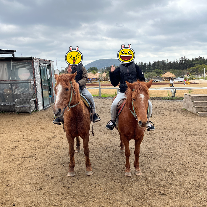 승마코스