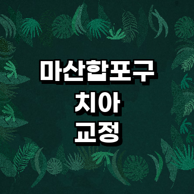 창원 마산합포구 교정 치과
