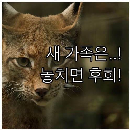 새로운 가족을 위한 2025 금천구 ..