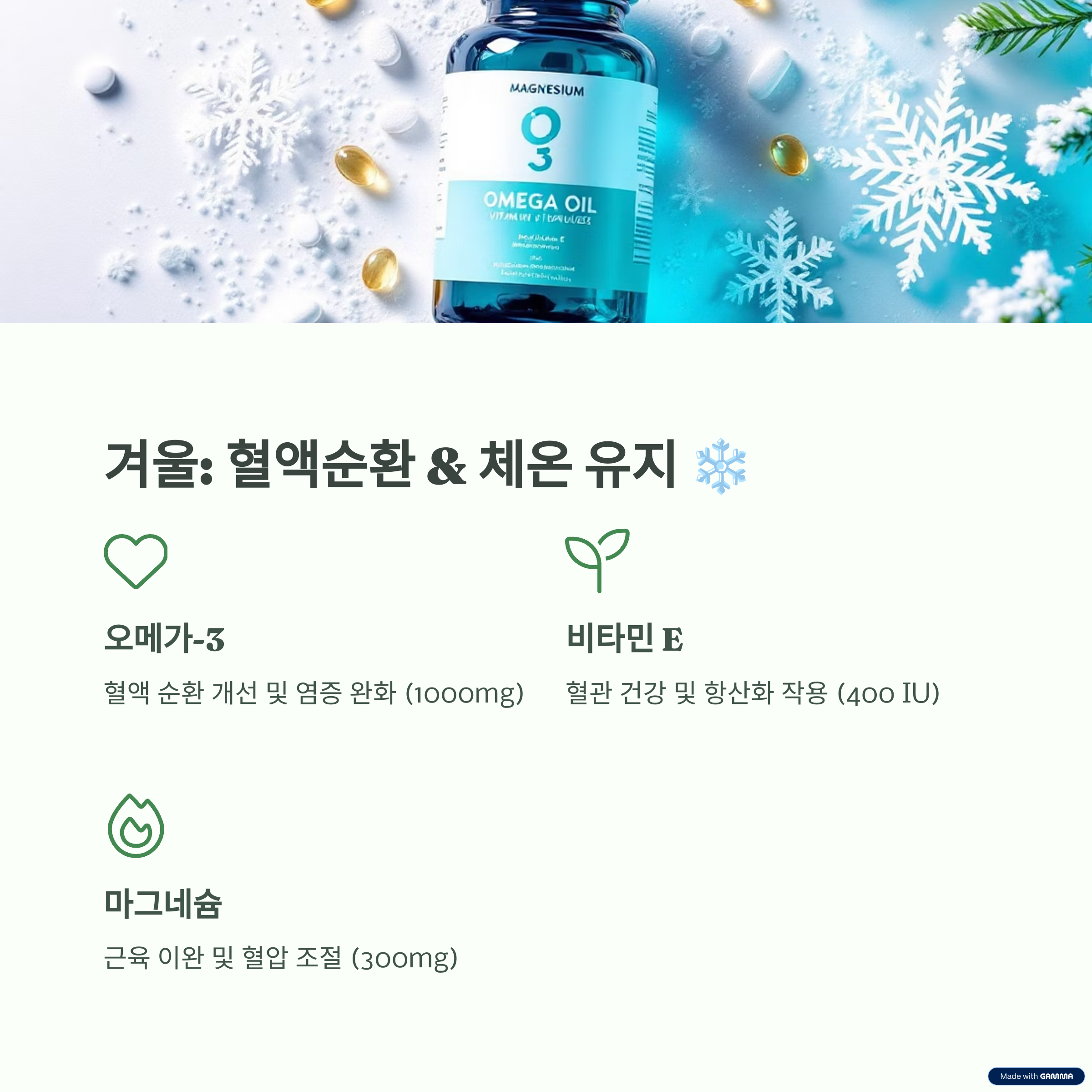 건강 보조식품 정리 6