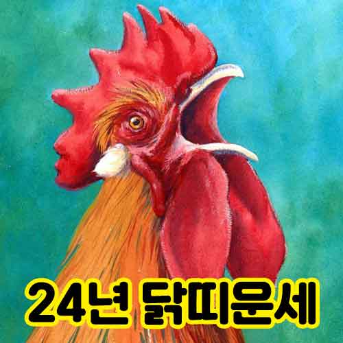 24년 닭띠운세 썸네일