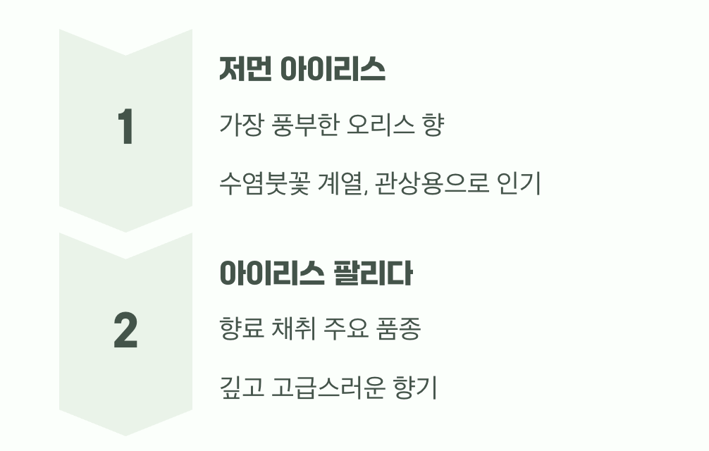 향료의 여왕&amp;#44; 저먼 아이리스