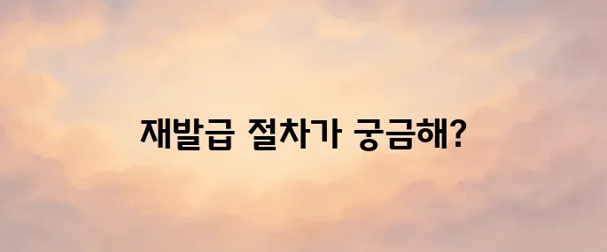 운전면허증 분실 후 재발급 받는 방법