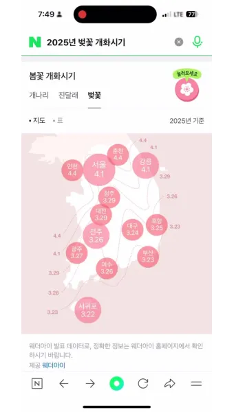 벚꽃 개화시기 2025 만개시기 히든스팟_6