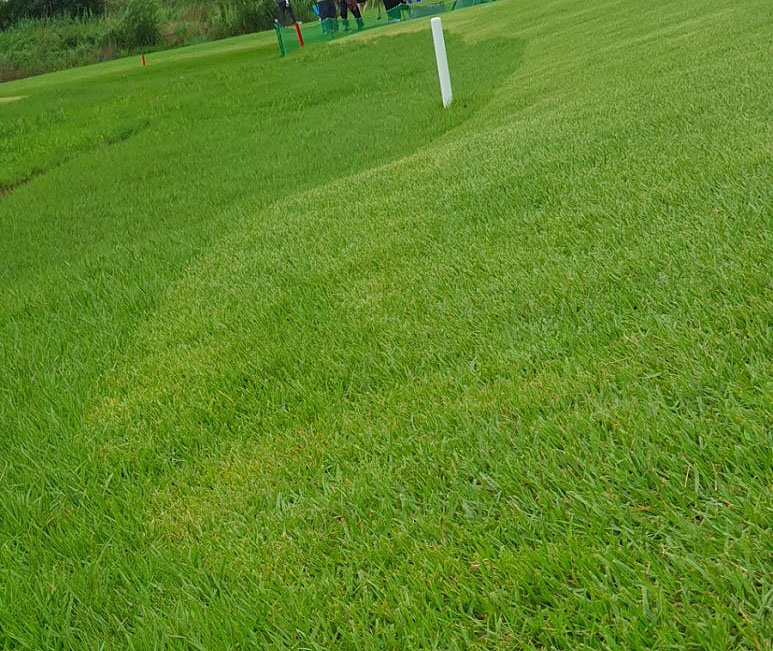 전남 화순 능주파크골프장 소개