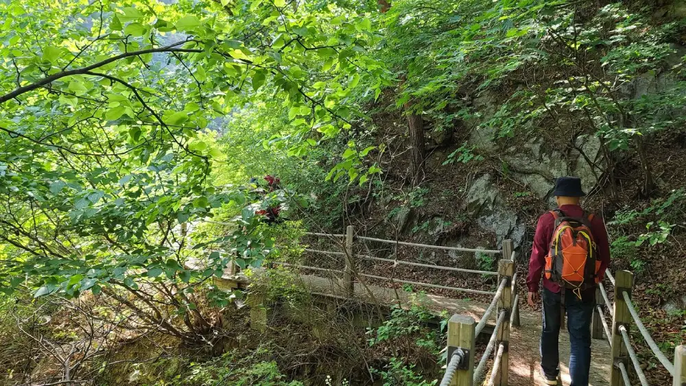 울진 왕피천 생태탐방로