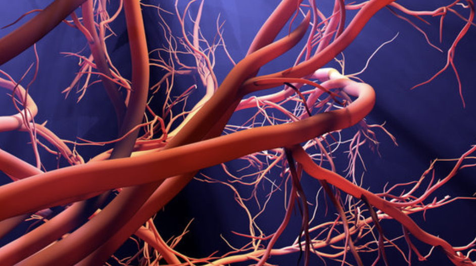 루푸스증상과원인치료법