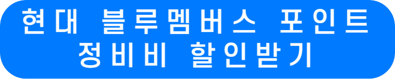 현대 블루멤버스 공식 사이트 바로가기 링크 버튼