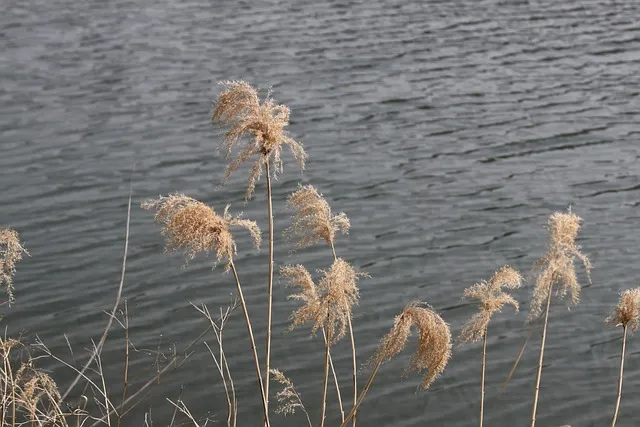 밀양역 ktx 기차시간표 요금표 예매_3
