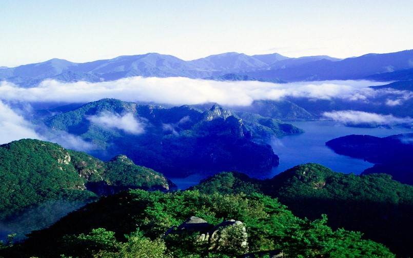 제천시 경제활력지원금 20만원 신청방법