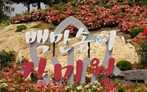 5월에 방문하는 축제 BEST 7