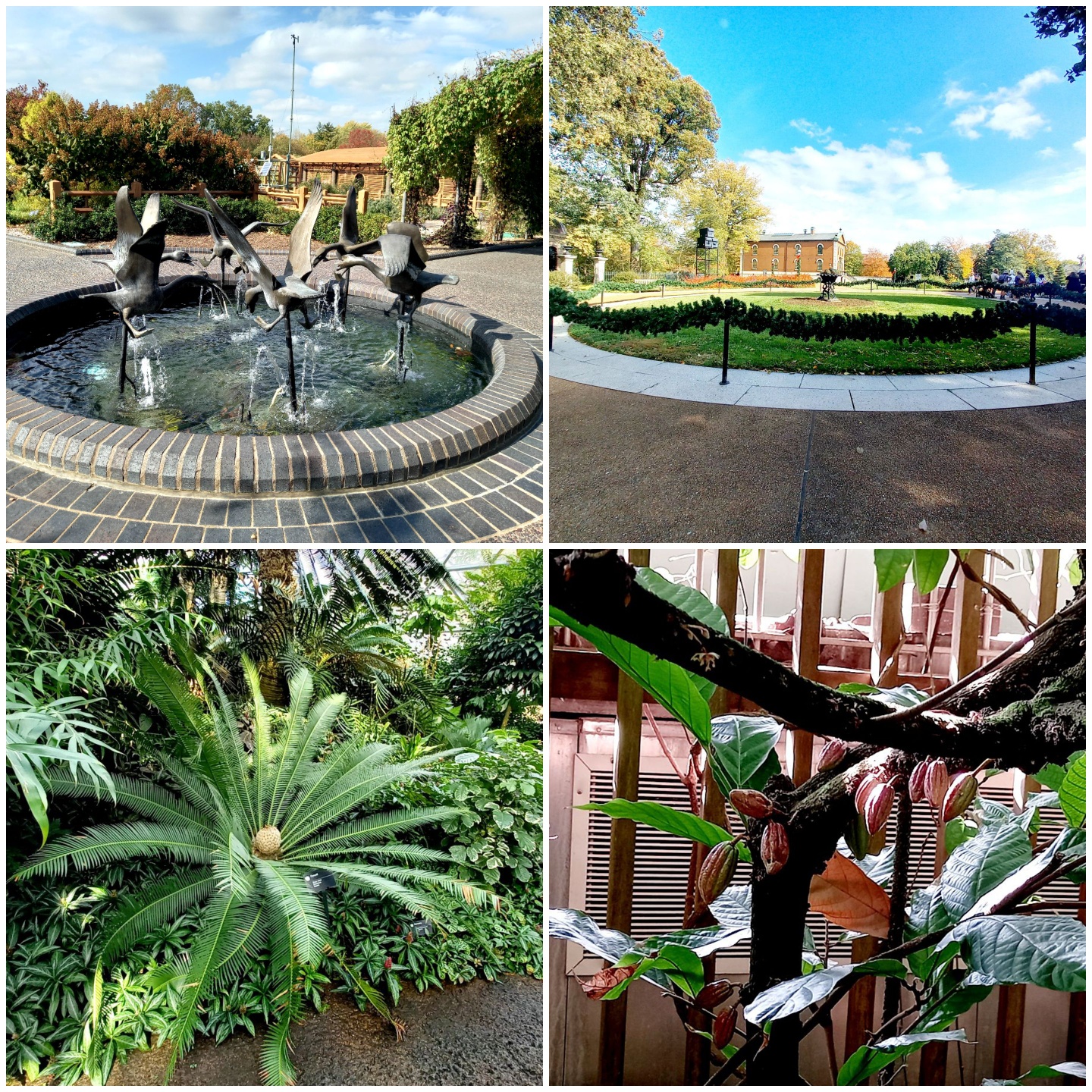 미주리 보태니컬 가든(Missouri Botanical Garden)